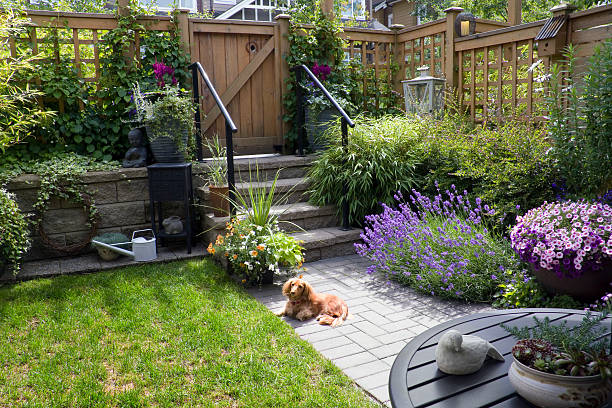 Landscaping